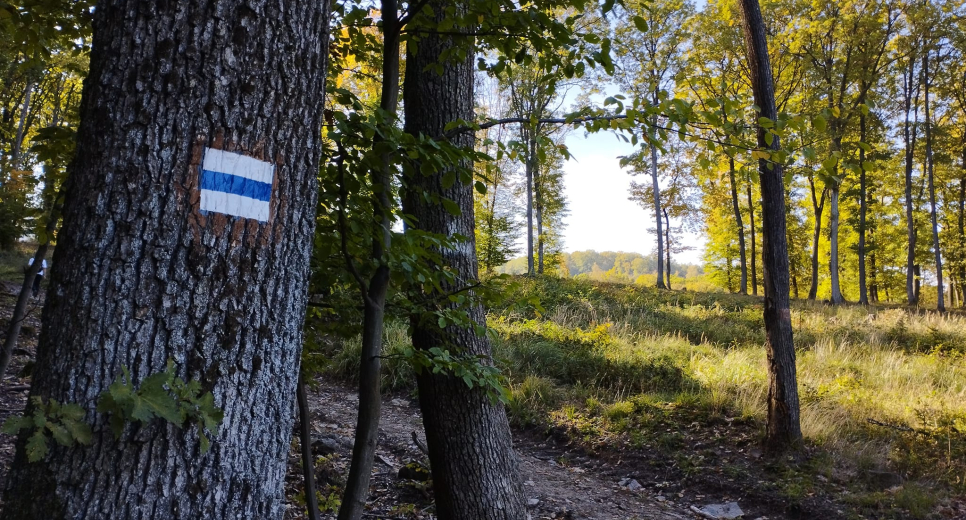 Kéken a Mátrában Kéken a Mátrában