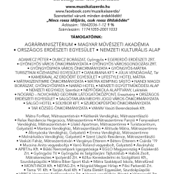 Muzsikál az erdő