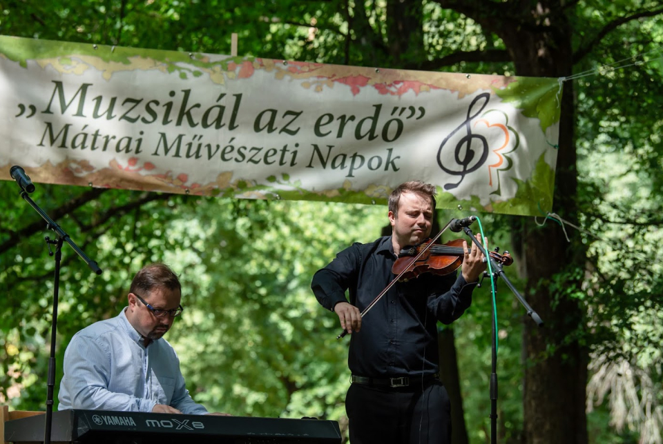 Muzsikál az erdő