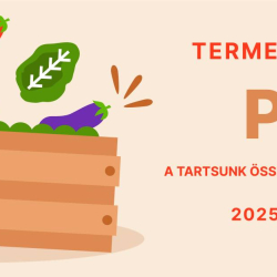 Termelői vásár és bolhapiac