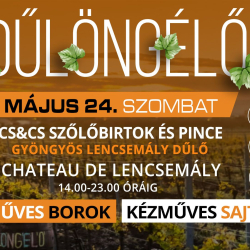 DŰLÖNGÉLŐ