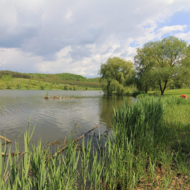 Horgászat