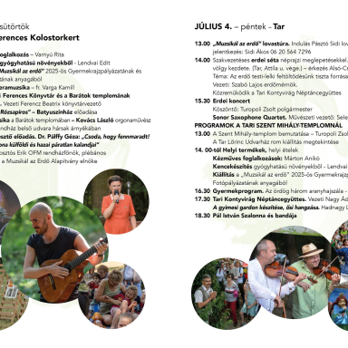 Muzsikál az erdő
