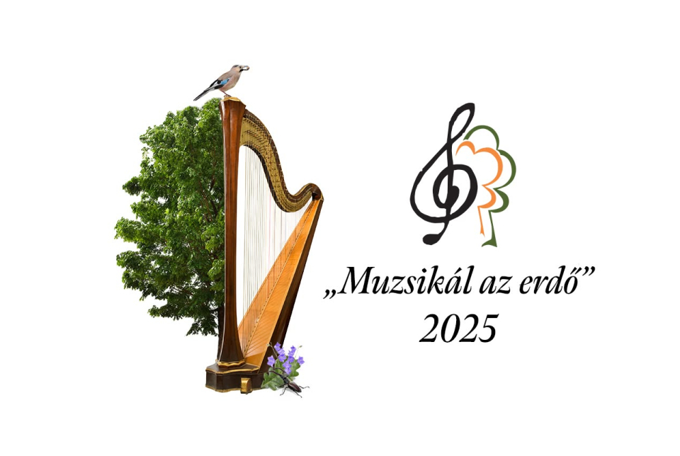 Muzsikál az erdő - Mátrai Művészeti Napok - Salgótarján-Eresztvény