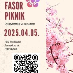 Fasor Piknik 2025