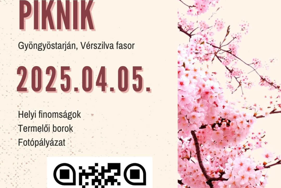 Fasor Piknik 2025