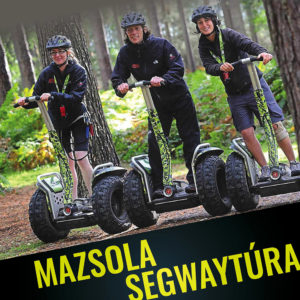 Terepsegway