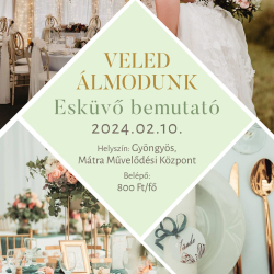 Veled álmodunk - Esküvő bemutató