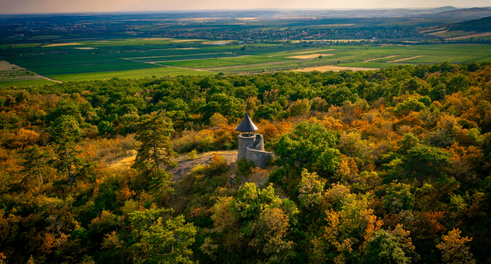 Kozmáry-kilátó Kozmáry-kilátó