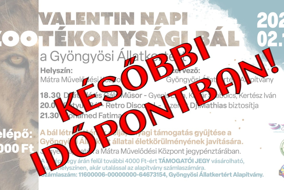 Valentin napi ZOOTÉKONYSÁGI BÁL a Gyöngyösi Állatkertért