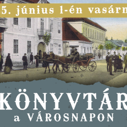 Könyvtár a Városnapon