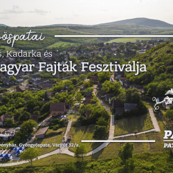 Gyöngyöspatai Kékfrankos, kadarka és régi magyar fajták fesztiválja