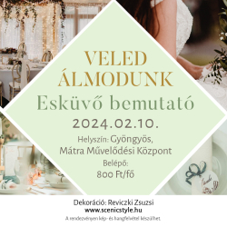 Veled álmodunk - Esküvő bemutató