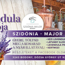 Pünkösdi levendula ünnep -2 éves a Szidónia-major