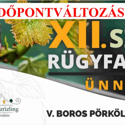 XII. Szőlő Rügyfakadás Ünnepe és IV. Boros Pörkölt Főzőverseny - Abasár