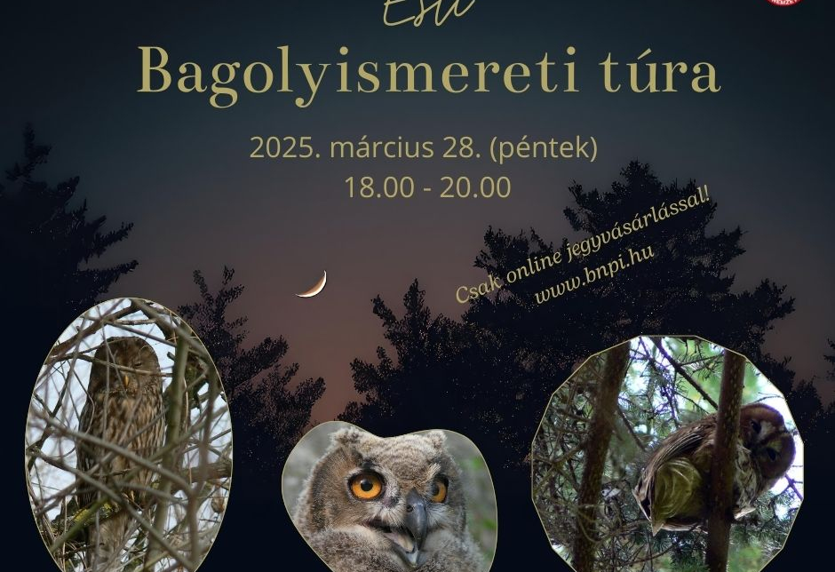 Esti bagolyismereti túra