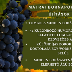 Mátrai Bornapok