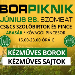 Borpiknik Special