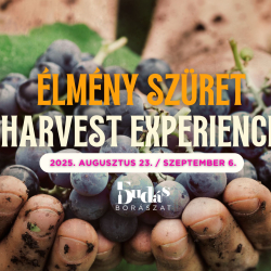 Élmény szüret I.