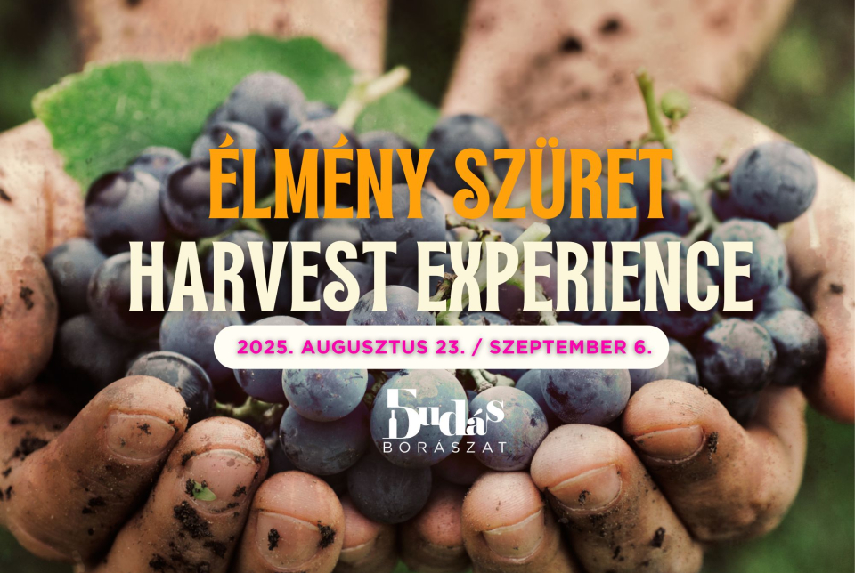 Élmény szüret I.