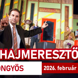 Hajmeresztő - krimi vígjáték