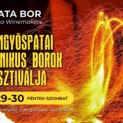 Vulkanikus Borok Fesztiválja