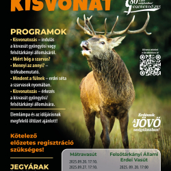Szarvasbőgő kisvonat