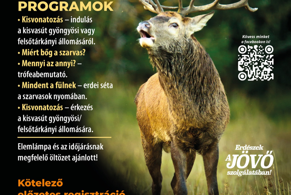 Szarvasbőgő kisvonat
