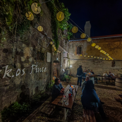 Pezsgő és újbor kóstoló