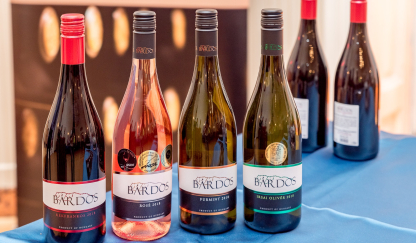 Bárdos Pince - Laszlo Sulyok