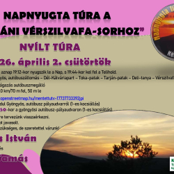 Napnyugta-túra a Tarjáni Vérszilvafa-sorhoz