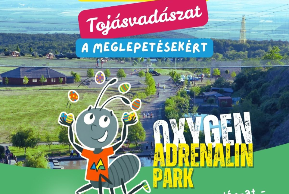 EGGS-TRÉM TOJÁSVADÁSZAT