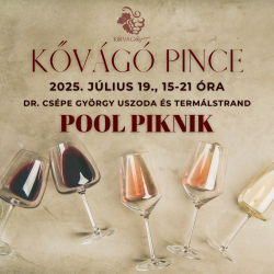 Pool Piknik