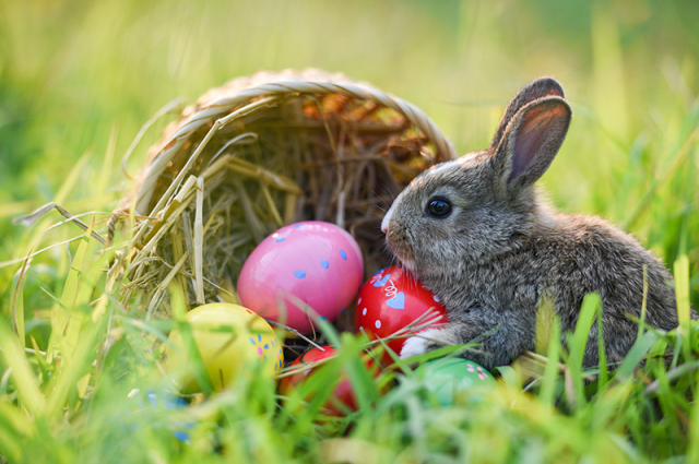 Húsvéti élmények a Mátrában!
