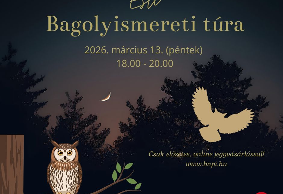 Esti bagolyismereti túra