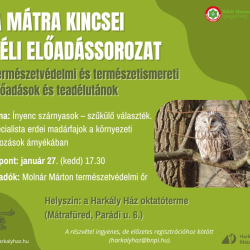 Ínyenc szárnyasok - szűkülő választék...