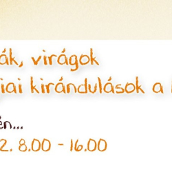 Kövek, gombák, virágok - Geológiai kirándulások a Mátrában 2.