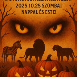 Halloween a Gyöngyösi Állatkertben