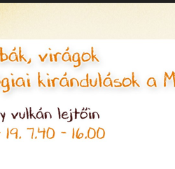 Kövek, gombák, virágok - Geológiai kirándulások a Mátrában 3.